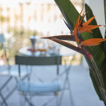 דירות La Strelitzia Cervo Mare מראה חיצוני תמונה